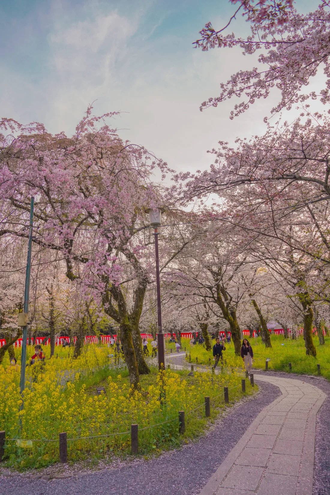 🏞️ 거석 공원 (쿄세키 파크) 이미지 8